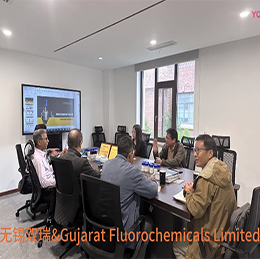 欢迎印度Gujarat Fluorochemicals Limited公司访问无锡双瑞